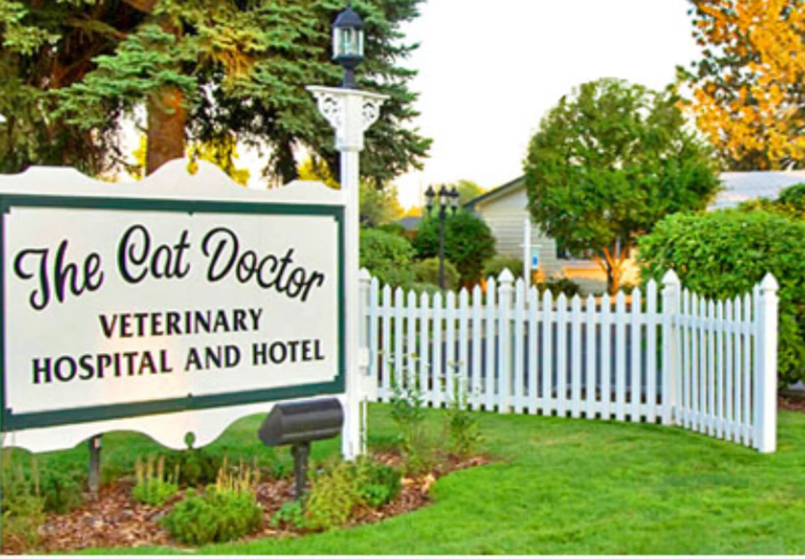 The Cat Doctor sign and building